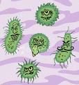 Germs Pictures, Images and Photos