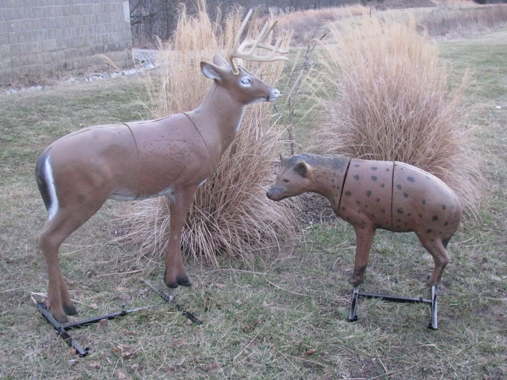 Mckenzie taxidermy coupon code