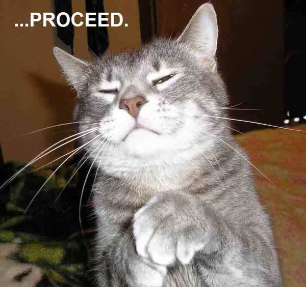Forum Image: http://i441.photobucket.com/albums/qq134/Falcon_of_Fakku/proceed_cat.jpg