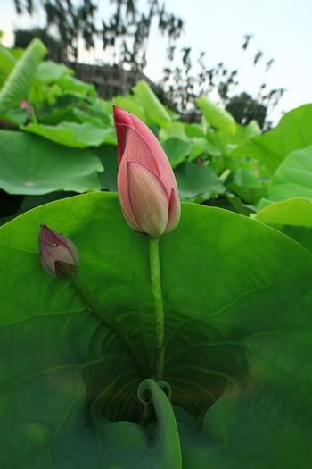 http://i441.photobucket.com/albums/qq135/happy2133/_MG_0565.jpg