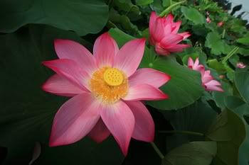 http://i441.photobucket.com/albums/qq135/happy2133/_MG_0582.jpg