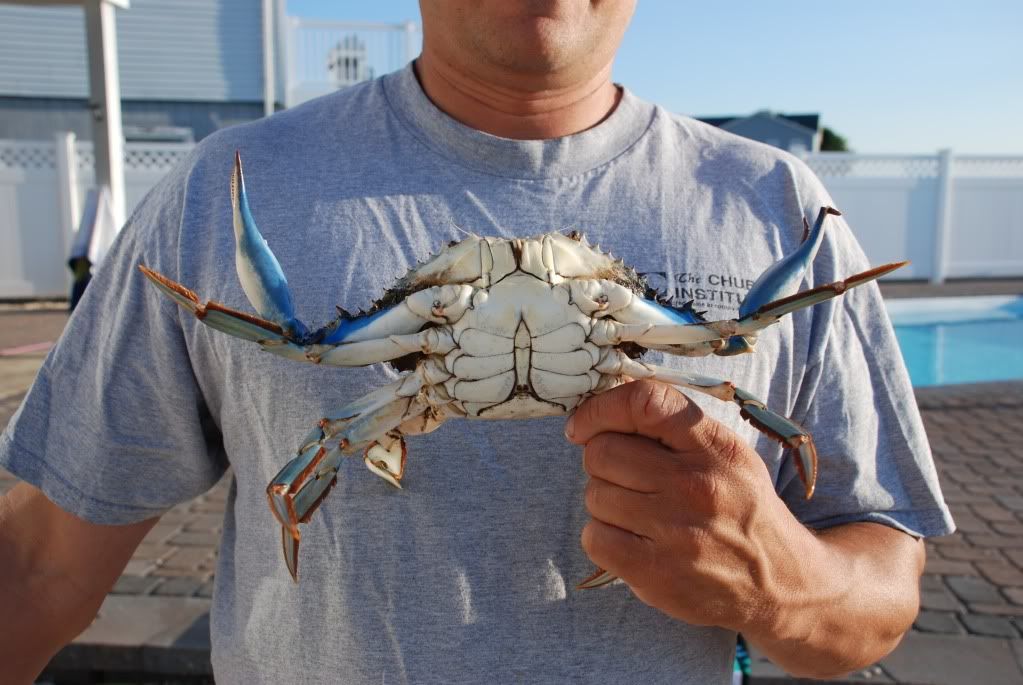 The Best Day Of Crabbing Ever! BASS BARN
