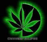 thcannabisUeclipse_ad.jpg
