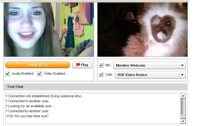 chat roulette shuffle