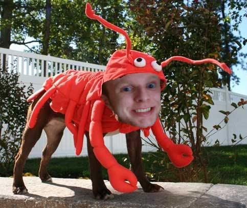 lobster-dog-costume-full.jpg