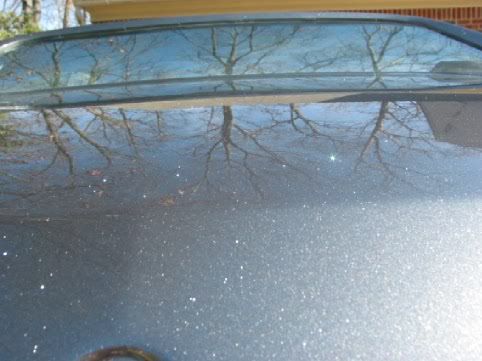 PaintDecklid.jpg