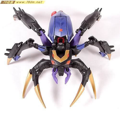 变形金刚2008动画玩具系列 黑寡妇 Blackarachnia
