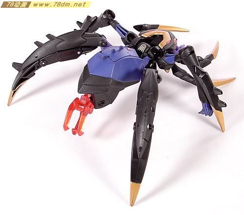 变形金刚2008动画玩具系列 黑寡妇 Blackarachnia
