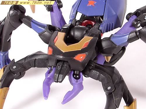 变形金刚2008动画玩具系列 黑寡妇 Blackarachnia