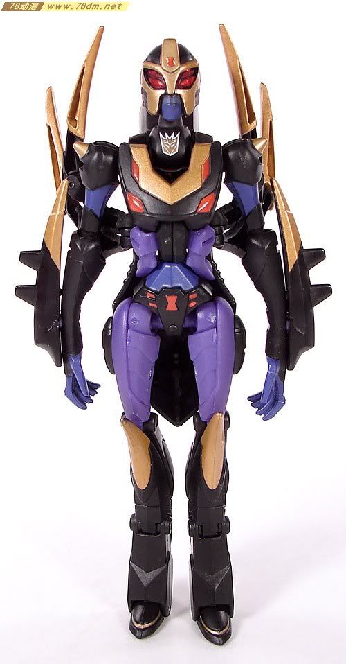 变形金刚2008动画玩具系列 黑寡妇 Blackarachnia