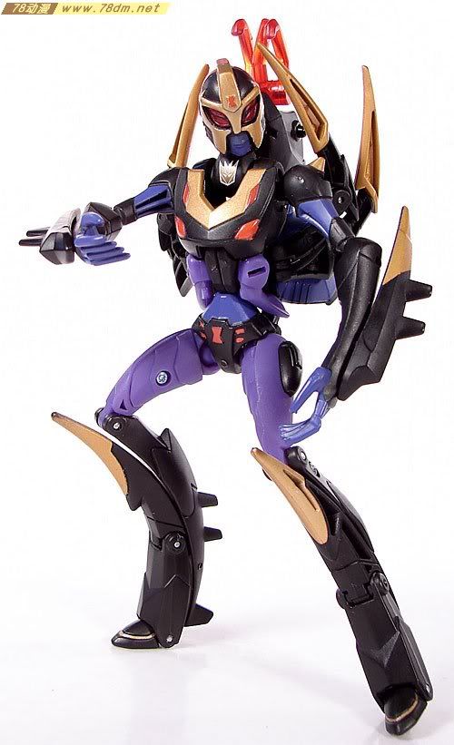变形金刚2008动画玩具系列 黑寡妇 Blackarachnia
