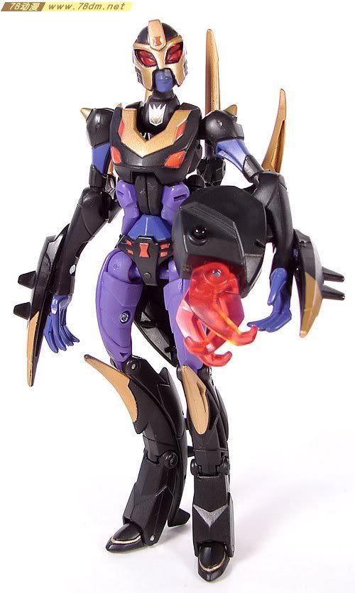 变形金刚2008动画玩具系列 黑寡妇 Blackarachnia