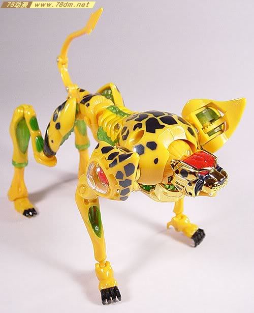 变形金刚猛兽侠系列玩具 cheetor 黄豹