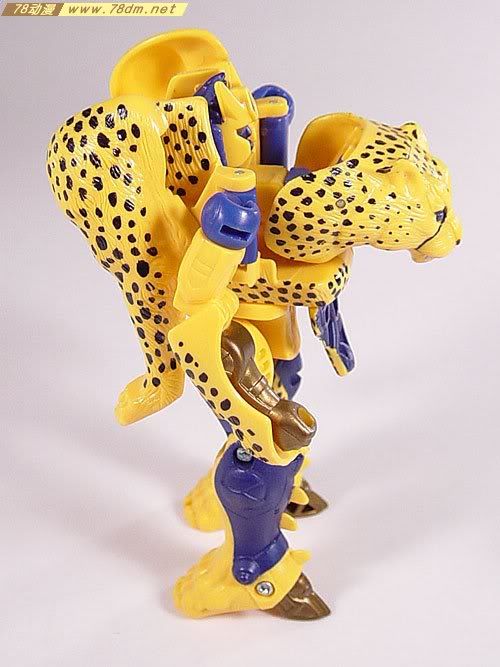 变形金刚超能勇士系列玩具 cheetor黄豹