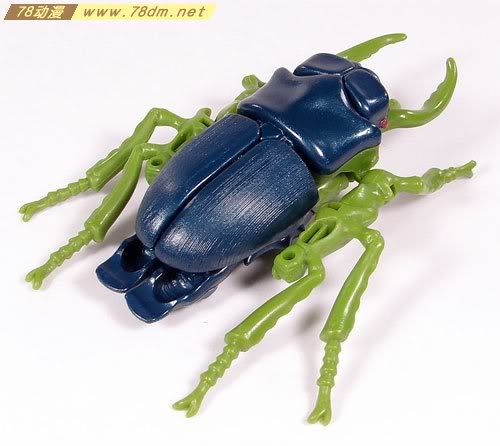 变形金刚超能勇士系列玩具 Insecticon 害虫