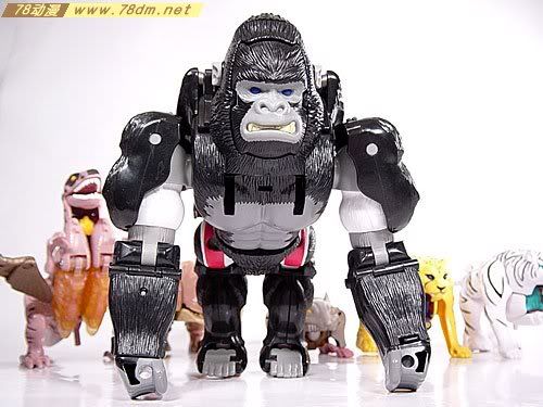 变形金刚超能勇士系列玩具 OPTIMUS PRIMAL 黑猩猩 