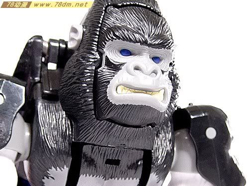 变形金刚超能勇士系列玩具 OPTIMUS PRIMAL 黑猩猩 