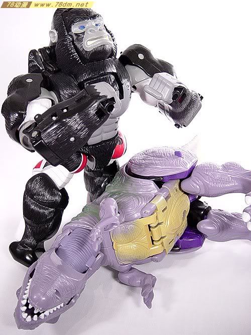 变形金刚超能勇士系列玩具 OPTIMUS PRIMAL 黑猩猩 