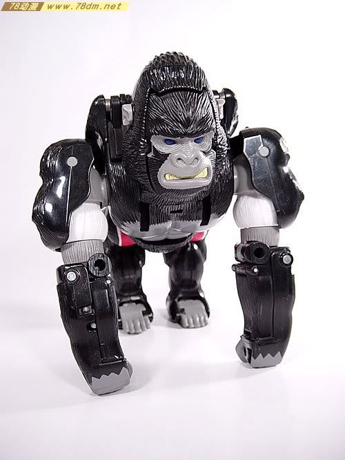 变形金刚超能勇士系列玩具 OPTIMUS PRIMAL 黑猩猩 