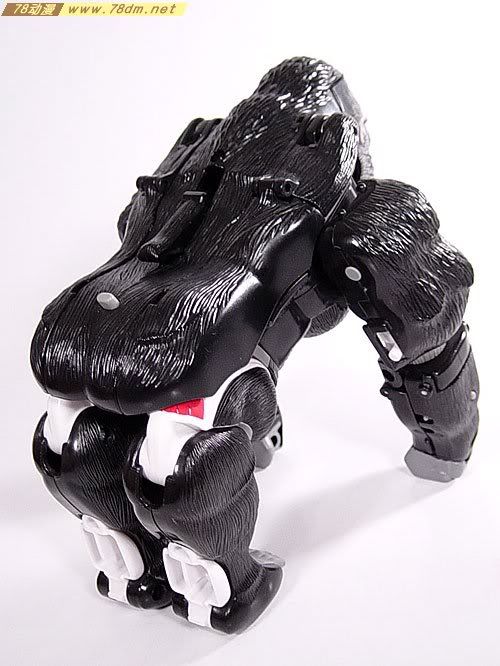 变形金刚超能勇士系列玩具 OPTIMUS PRIMAL 黑猩猩 