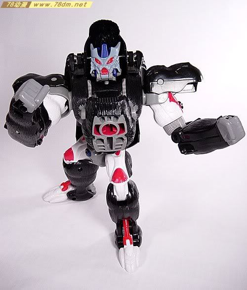 变形金刚超能勇士系列玩具 OPTIMUS PRIMAL 黑猩猩 