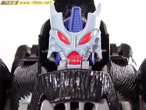 变形金刚超能勇士系列玩具 OPTIMUS PRIMAL 黑猩猩 