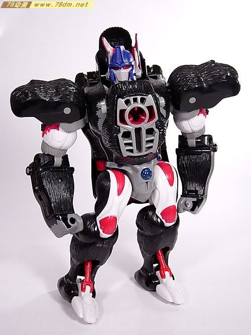 变形金刚超能勇士系列玩具 OPTIMUS PRIMAL 黑猩猩 