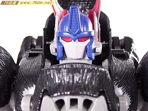 变形金刚超能勇士系列玩具 OPTIMUS PRIMAL 黑猩猩 