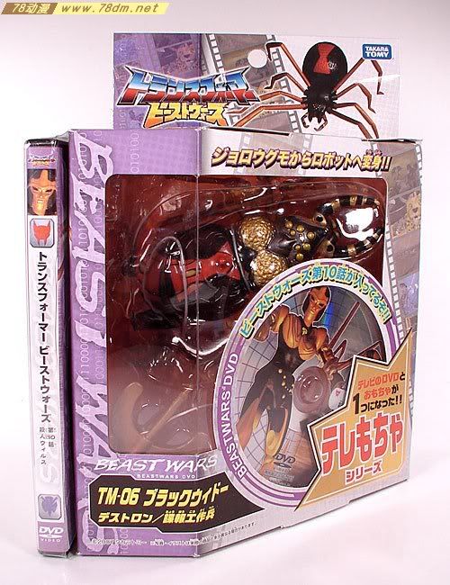 变形金刚超能勇士10周年系列玩具 Blackarachnia 黑寡妇