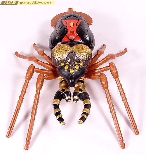 变形金刚超能勇士10周年系列玩具 Blackarachnia 黑寡妇