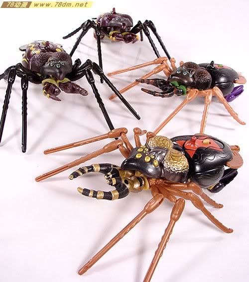 变形金刚超能勇士10周年系列玩具 Blackarachnia 黑寡妇