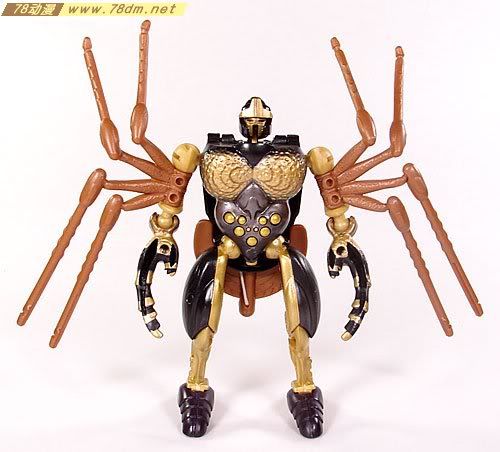 变形金刚超能勇士10周年系列玩具 Blackarachnia 黑寡妇
