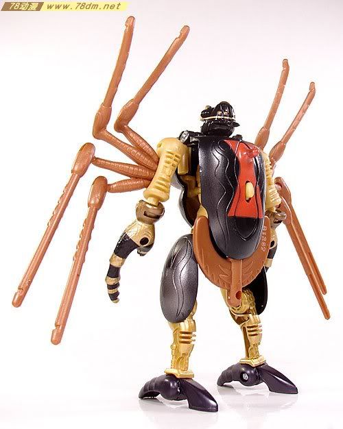 变形金刚超能勇士10周年系列玩具 Blackarachnia 黑寡妇