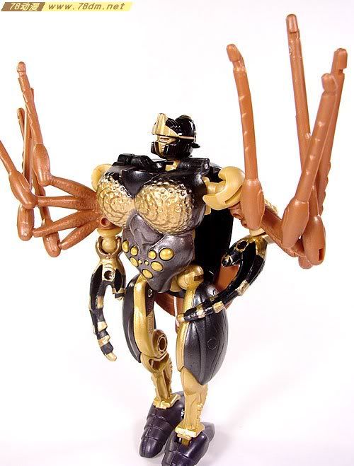 变形金刚超能勇士10周年系列玩具 Blackarachnia 黑寡妇