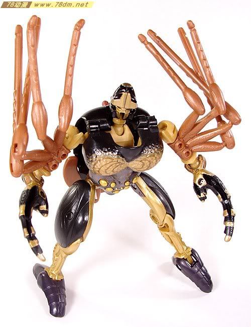 变形金刚超能勇士10周年系列玩具 Blackarachnia 黑寡妇