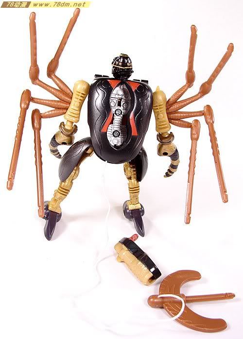 变形金刚超能勇士10周年系列玩具 Blackarachnia 黑寡妇
