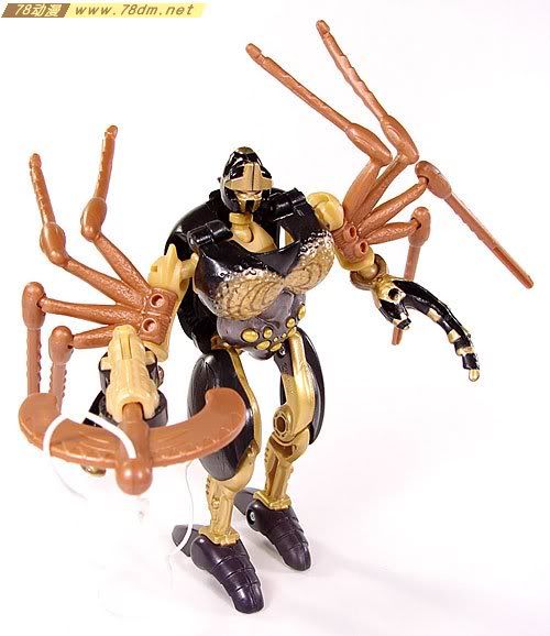 变形金刚超能勇士10周年系列玩具 Blackarachnia 黑寡妇