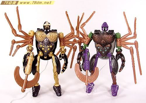 变形金刚超能勇士10周年系列玩具 Blackarachnia 黑寡妇