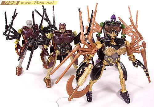 变形金刚超能勇士10周年系列玩具 Blackarachnia 黑寡妇