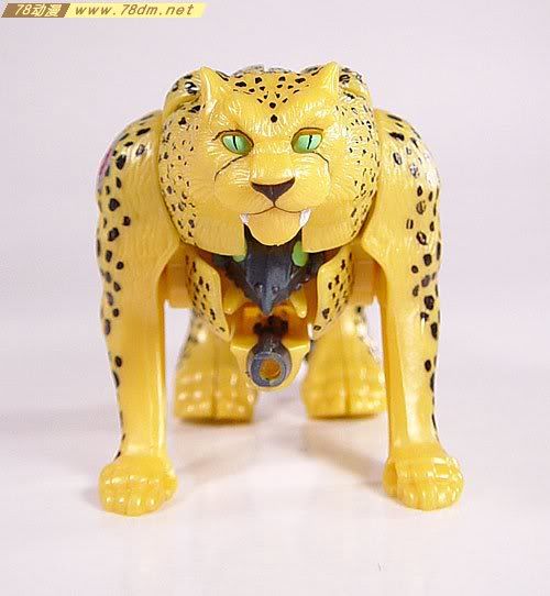 变形金刚超能勇士10周年系列玩具 Cheetor 黄豹