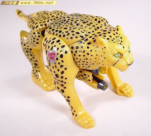 变形金刚超能勇士10周年系列玩具 Cheetor 黄豹