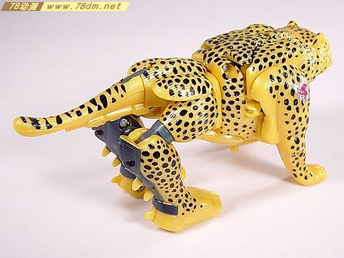 变形金刚超能勇士10周年系列玩具 Cheetor 黄豹