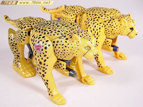 变形金刚超能勇士10周年系列玩具 Cheetor 黄豹