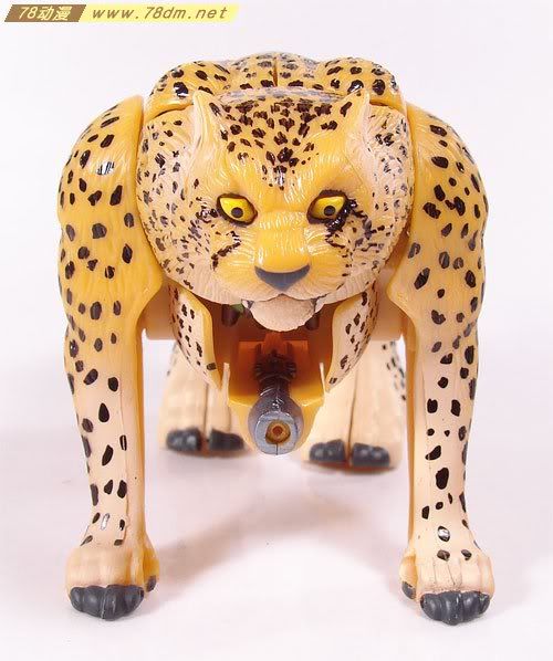 变形金刚超能勇士10周年系列玩具 Cheetor 黄豹(日版)