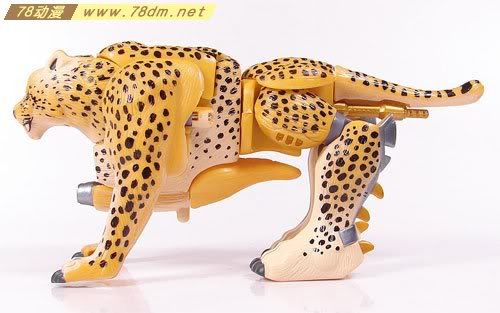 变形金刚超能勇士10周年系列玩具 Cheetor 黄豹(日版)