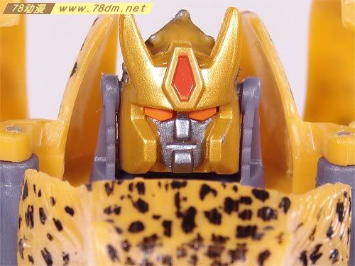 变形金刚超能勇士10周年系列玩具 Cheetor 黄豹(日版)