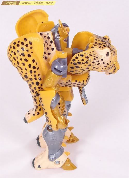 变形金刚超能勇士10周年系列玩具 Cheetor 黄豹(日版)