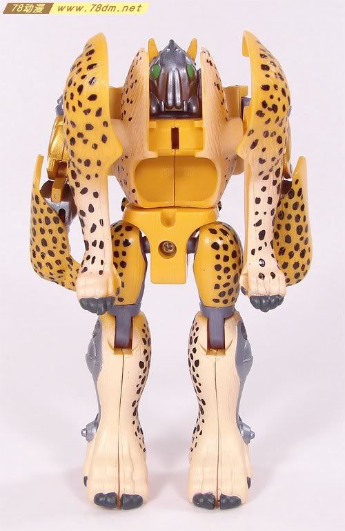 变形金刚超能勇士10周年系列玩具 Cheetor 黄豹(日版)