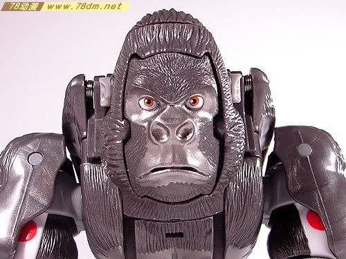 变形金刚超能勇士10周年系列玩具 Optimus Primal 黑猩猩
