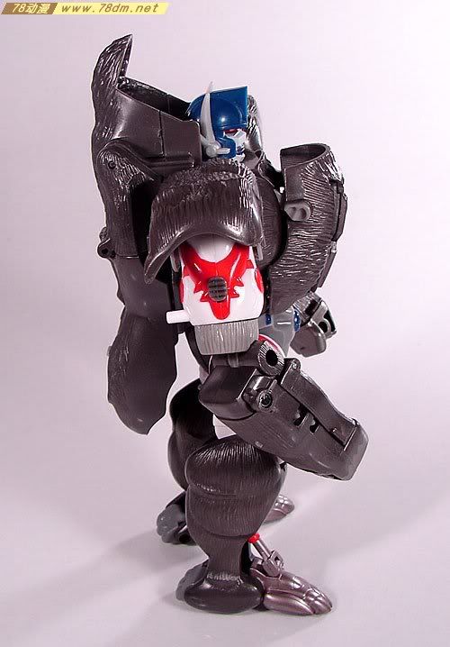 变形金刚超能勇士10周年系列玩具 Optimus Primal 黑猩猩